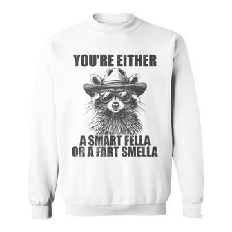 You're Either A Smart Fella Or A Fart Smella Raccoon Sweatshirt - Thegiftio UK