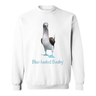 アオアシカツオドリの品種鳥類学 スウェットシャツ - Kawaiitshirt