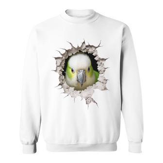 オウム アニマルプリント 動物園 図面 アートワーク 顔 オウム スウェットシャツ - Kawaiitshirt