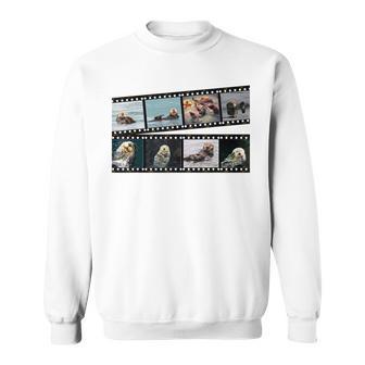 ラッコ フィルムストリップ 写真 フォト コラージュ スウェットシャツ - Kawaiitshirt
