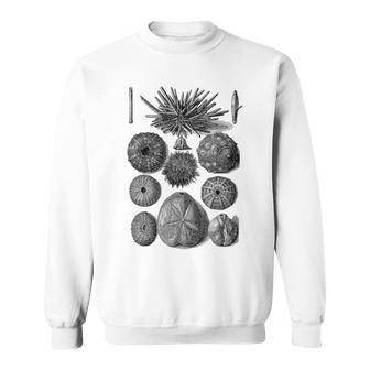 海洋学 海洋動物学 生物学者 航海ウニ スウェットシャツ - Kawaiitshirt