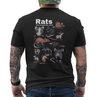 Rats From Around The World Vintage Rodent Chart Men's T-shirt Back Print - Thegiftio UK