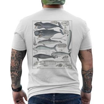ヴィンテージ クジラ イラスト 生物学 科学 海 メンズTシャツ バックプリント - Kawaiitshirt