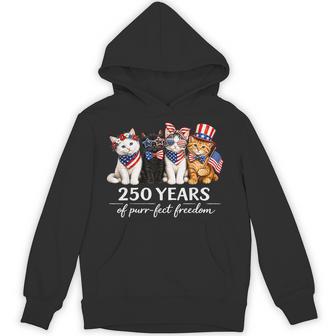 250 Years Of America Cats Patriotic Cat Lover Hoodie - Thegiftio UK