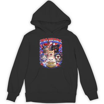 250 Years Cat American Flag 250Th Anniversary 4Th Of July Hoodie - Monsterry