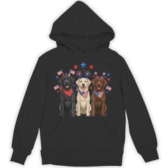 4Th Of July Three Labrador Retrievers Patriotic Dog Lover Hoodie - Thegiftio UK