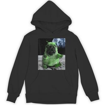 Alien Pibble Brainrot Hoodie - Thegiftio UK