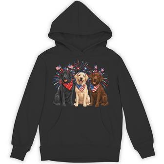 Cute Three Labrador Dogs American Flag 4Th Of July Patriotic Hoodie - Thegiftio UK