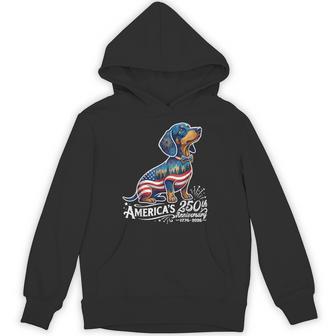 Dachshund America's 250Th Patriotic Dog Fireworks Hoodie - Thegiftio UK