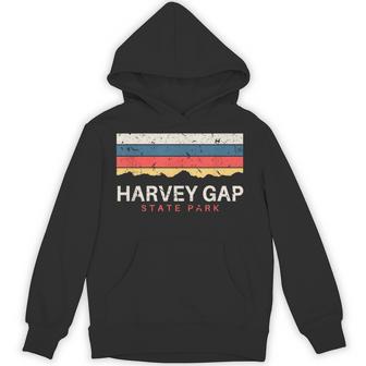 Harvey Gaptate Park コロラドレトロ Co パーカー - Kawaiitshirt