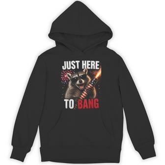 Just Here To Bang Raccoon 4Th Of July Fireworks Hoodie - Thegiftio UK