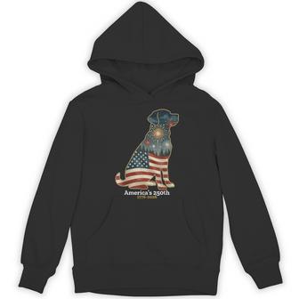 Labrador Retriever America's 250Th Patriotic Dog Fireworks Hoodie - Thegiftio UK