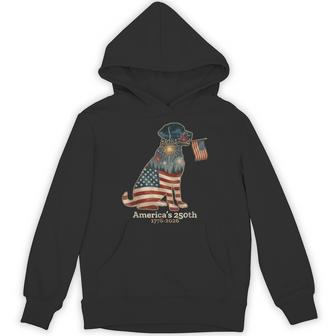 Labrador Retriever America's 250Th Patriotic Dog Fireworks Hoodie - Monsterry