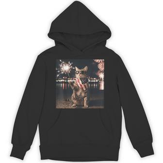 Patriotic Cat American Flag Fireworks 4Th Of July Hoodie - Thegiftio UK