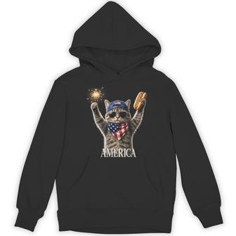 Retro America Cat Hot Dog Lovers Patriotic Fireworks Hoodie - Thegiftio UK