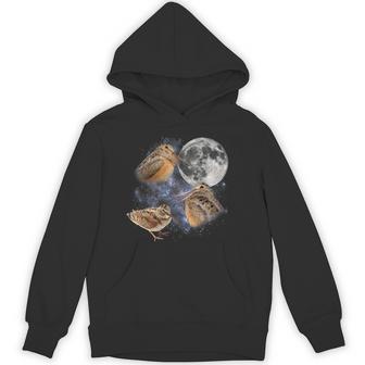 Three Meep Bird American Woodcock Moon Vintage Outfit Hoodie - Thegiftio UK
