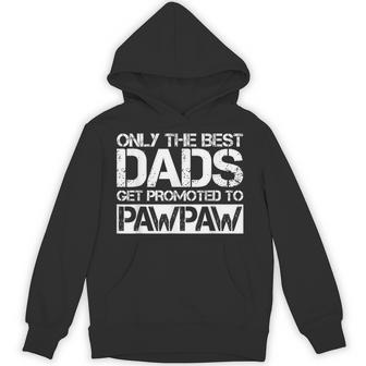 Vintage Great Dads Get Promoted To Pawpaw For Grandpa Hoodie - Monsterry
