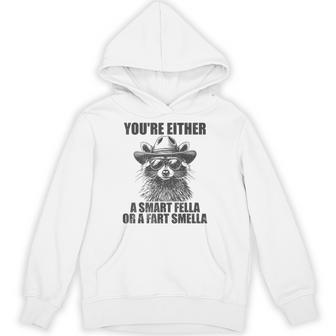 You're Either A Smart Fella Or A Fart Smella Raccoon Hoodie - Thegiftio UK