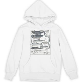 ヴィンテージ クジラ イラスト 生物学 科学 海 パーカー - Kawaiitshirt