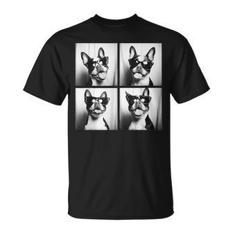 Boston Terrier Lustige Hunde Mitonnenbrille Haustiere Meme T-Shirt - Seseable