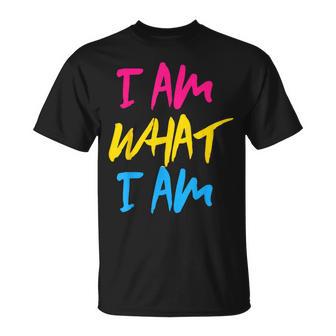 Camisa Bandera Para Pansexual Camiseta unisex - Regaloses