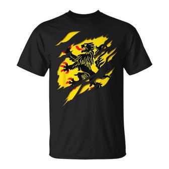 Drapeau Nord Pas De Calais Blason Déchiré À Effet 3D France T-Shirt - Cadeauxyz
