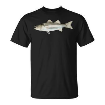 Poisson De Bar Rayé T-Shirt - Cadeauxyz