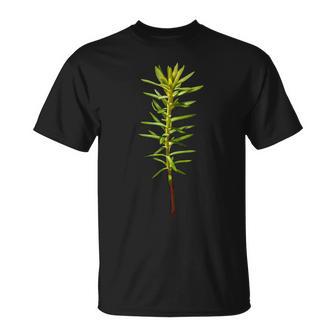 林業と森林再生 Tシャツ - Kawaiitshirt