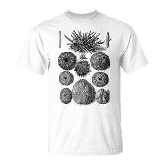 海洋学 海洋動物学 生物学者 航海ウニ Tシャツ - Kawaiitshirt