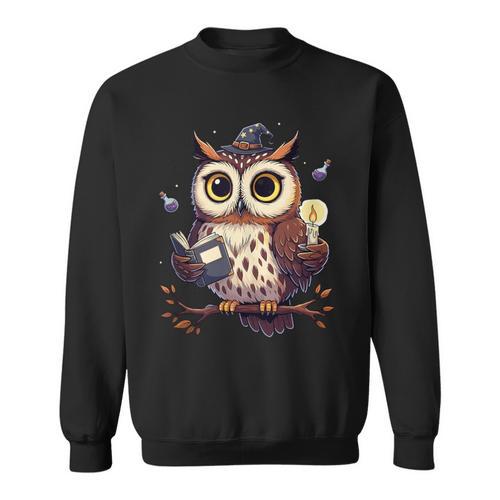 Cute Wizard Owl Reading Book Magic Candle Sweatshirt - Bookorys