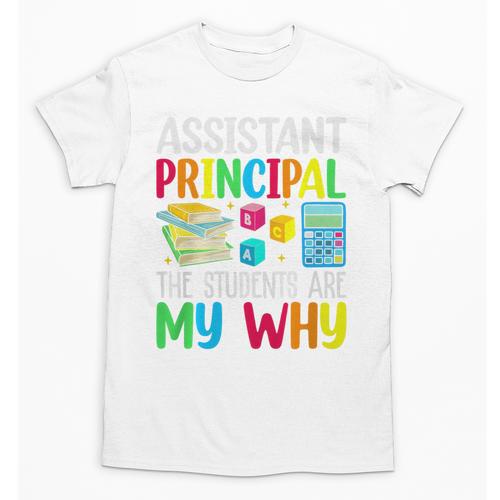 Back To School Assistant Principal The Students Are My Why Premium Tri-Blend Unisex T-Shirt - Savourry
