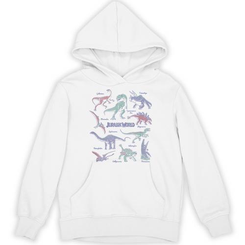 Jurassic World Dinosaurs Textbook Page Unisex Hoodie - Bookorys UK