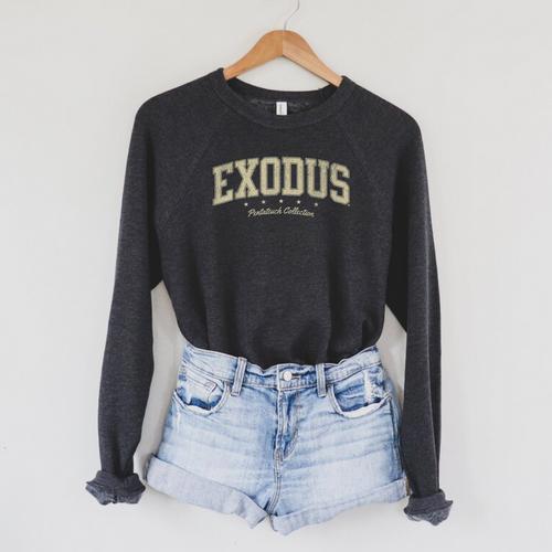 Books Of The Bible Exodus Old Testament Pentateuch Raglan Sleeve Sweatshirt - Bookorys AU