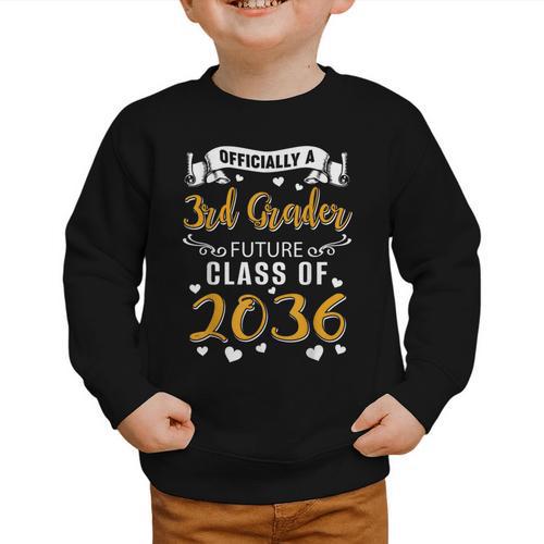 Officially a 3rd Grader Future Class Of 2036 Back To School Graphic Toddler Sweatshirt - Savourry