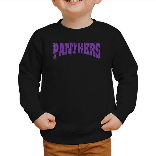Panthers Back To School Spirit P Graphic Toddler Sweatshirt - Savourry