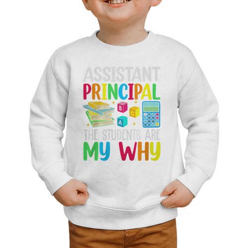 Back To School Assistant Principal The Students Are My Why Premium Tri-Blend Graphic Toddler Sweatshirt - Savourry