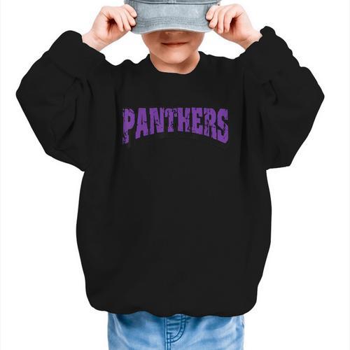 Panthers Back To School Spirit P Graphic Kid Sweatshirt - Savourry