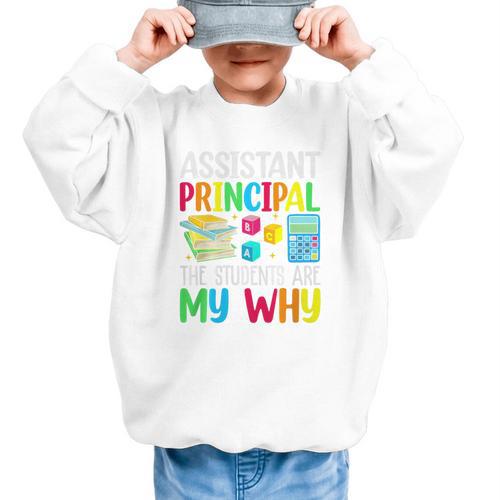 Back To School Assistant Principal The Students Are My Why Premium Tri-Blend Graphic Kid Sweatshirt - Savourry