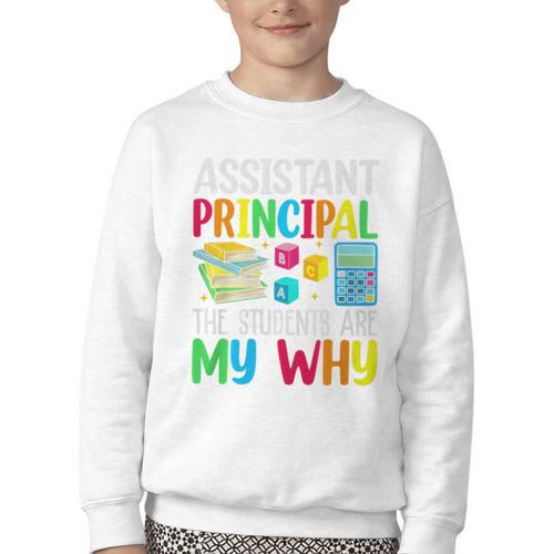 Back To School Assistant Principal The Students Are My Why Premium Tri-Blend Youth Crewneck Sweatshirt - Savourry