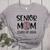 Proud Senior Baseball Mom Senior 2024 Class Leopard Game Day Raglan Baseball Tee Women's Heather T-Shirt Athletic Heather