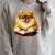 Cute Dog Pomeranian Reading Book Premium Tri-Blend Raglan Sleeve Sweatshirt Heather Forest