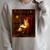 Orange Cat Book Lovers Cozy Bookish Librarian Raglan Sleeve Sweatshirt Heather Forest Orange Cat Book Lovers Cozy Bookish Librarian Raglan Sleeve Sweatshirt Heather Forest