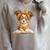 Puppy Open Book Reading Dog Lover Graphic Portrait Round Raglan Sleeve Sweatshirt Heather Forest