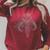 Star Wars The Book Of Boba Fett The Legend Lives Logo Raglan Sleeve Sweatshirt Heather Dust