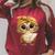 Women's Cute Wise Owl Reading Book With Headscarf Raglan Sleeve Sweatshirt Heather Dust