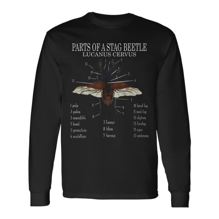 クワガタ クワガタムシ カブトムシ 長袖Tシャツ