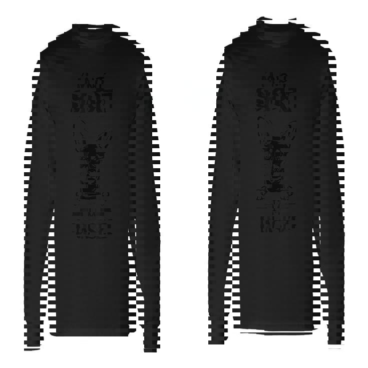 ミニピン、短くはない、楽しいサイズのミニチュアピンシャーのお父さん 長袖Tシャツ ギフトのアイデア