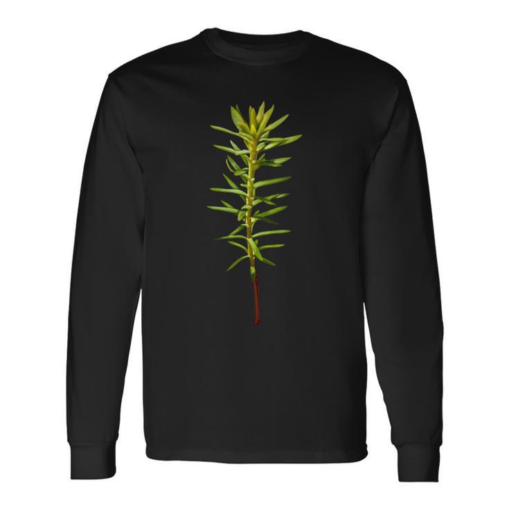 林業と森林再生 長袖Tシャツ