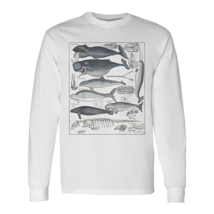 ヴィンテージ クジラ イラスト 生物学 科学 海 長袖Tシャツ