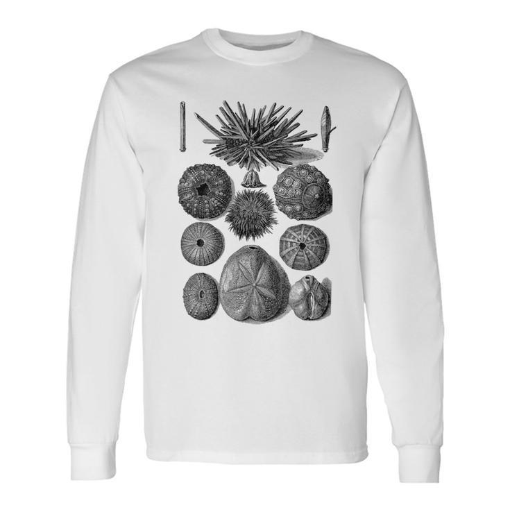 海洋学 海洋動物学 生物学者 航海ウニ 長袖Tシャツ